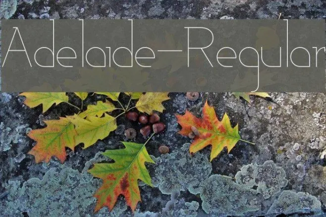 Adelaide-Regular Example 2