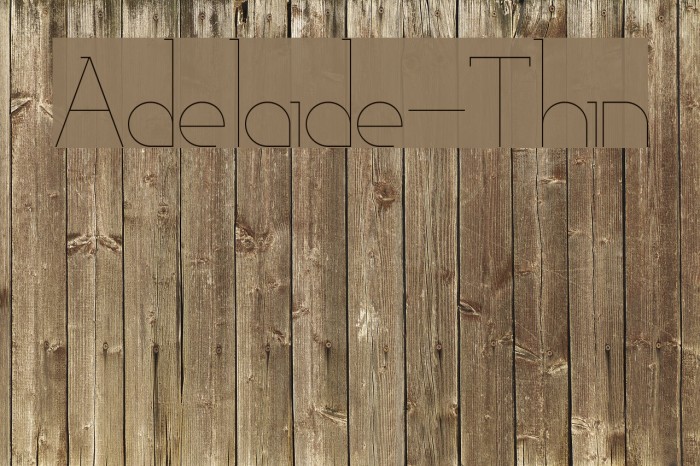 Adelaide-Thin Polices examples