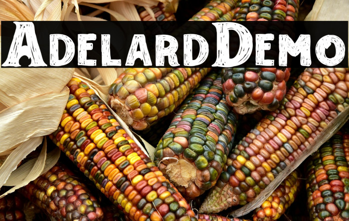 AdelardDemo Example 1