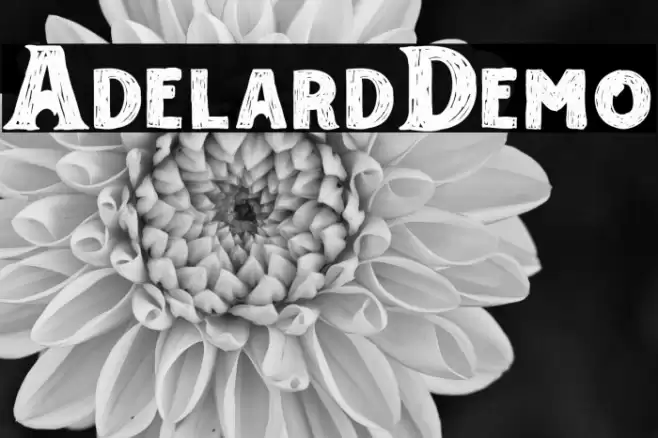 AdelardDemo Font examples