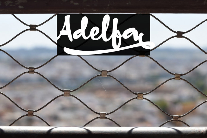 Adelfa_ Example 3