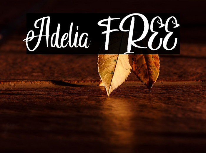 Adelia FREE Example 3