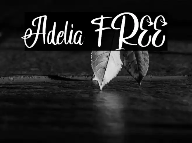 Adelia FREE Font examples