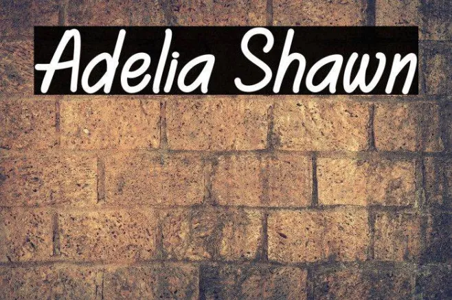 Adelia Shawn Example 1
