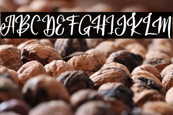 AdeliaFREE Example 1