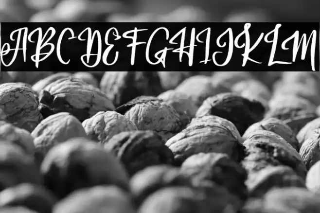 AdeliaFREE Font examples