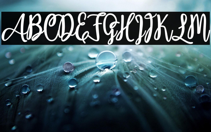 Adeliapasha Example 1