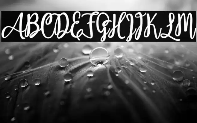 Adeliapasha Caratteri examples