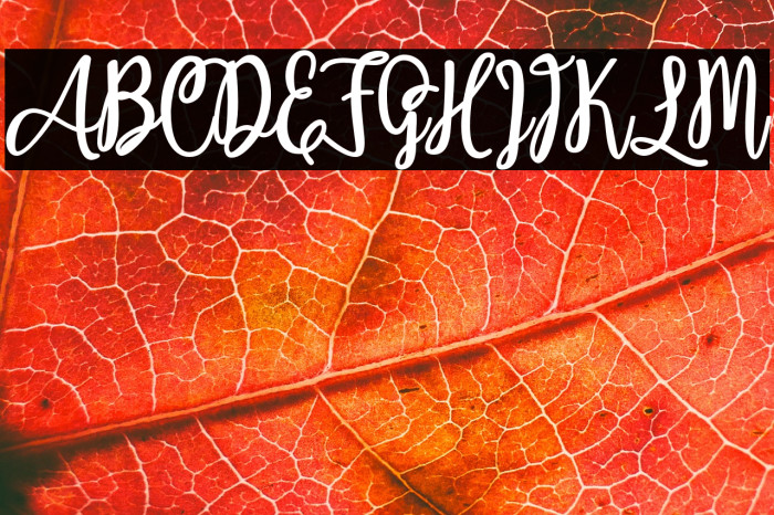 Adeliapasha Example 2