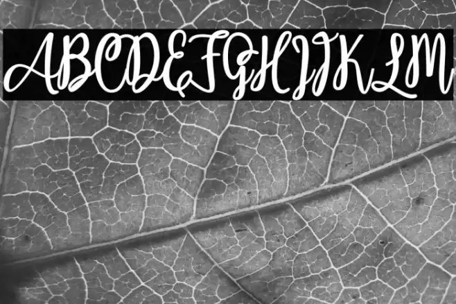 Adeliapasha Caratteri examples