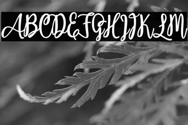 Adeliapasha Caratteri examples