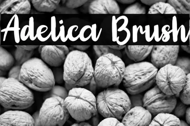 Adelica Brush Font examples