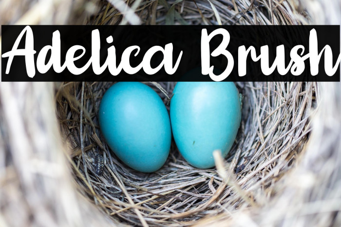 Adelica Brush Example 2