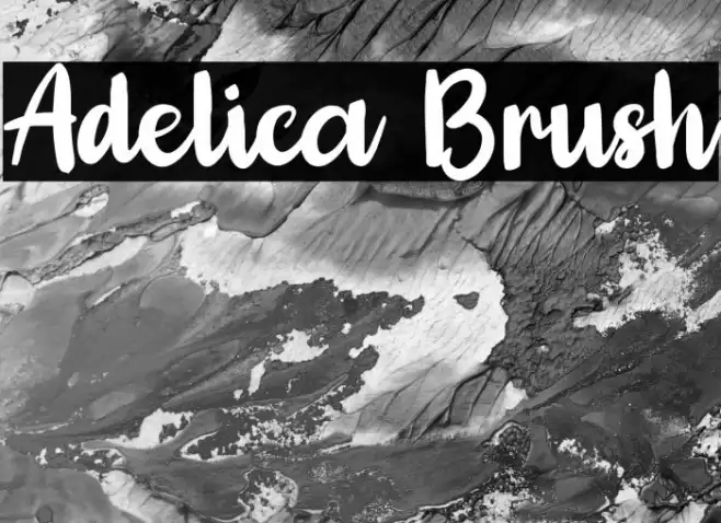 Adelica Brush Font examples