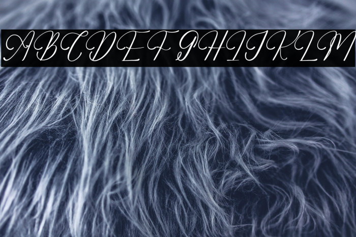 Adelifany Belindara DEMO VERSIO Example 1