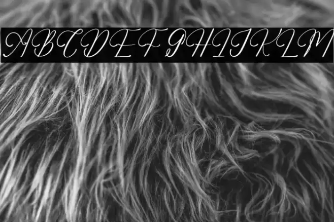 Adelifany Belindara DEMO VERSIO フォント examples