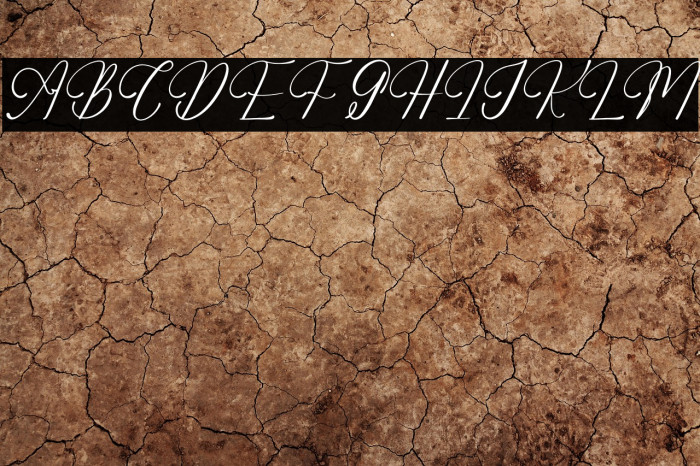 Adelifany Belindara DEMO VERSIO Example 2