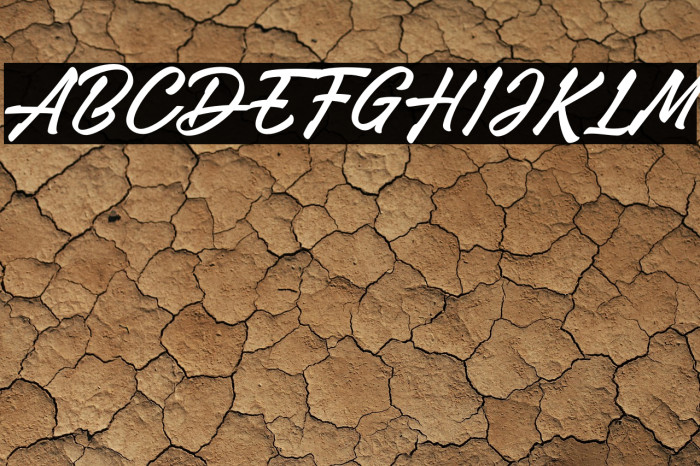 Adelina Camarie Example 2