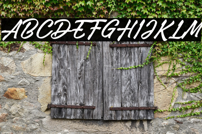 Adelina Camarie Example 3