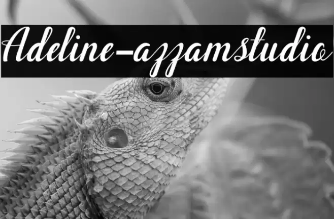 Adeline-azzamstudio Fonte examples