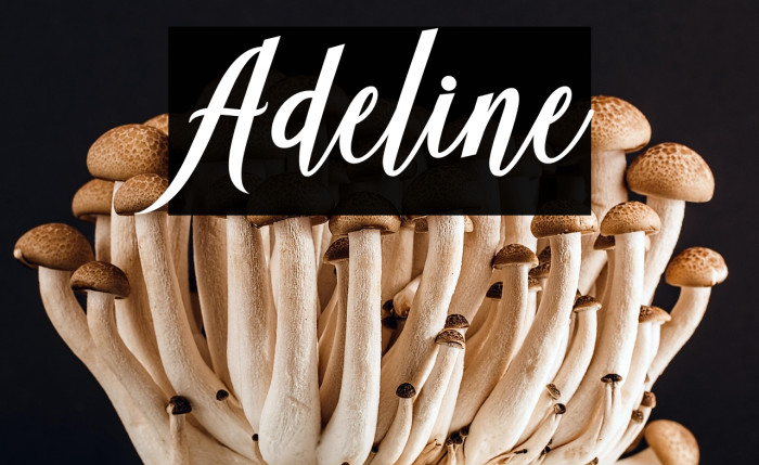 Adeline Example 3