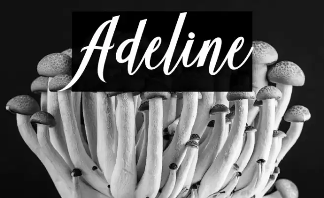 Adeline Font examples