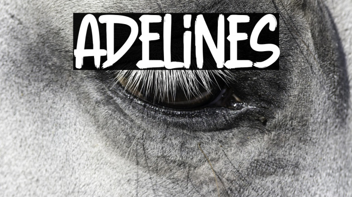 Adelines Example 3