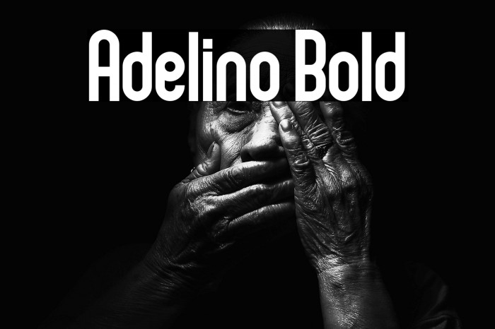 Adelino Bold Example 1