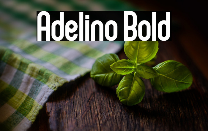 Adelino Bold Example 2
