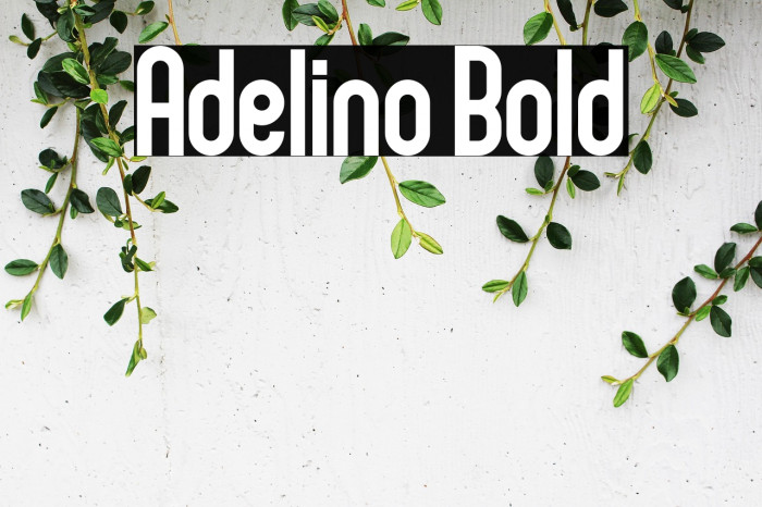 Adelino Bold Example 3