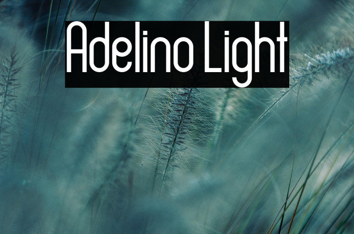 Adelino Light Example 3