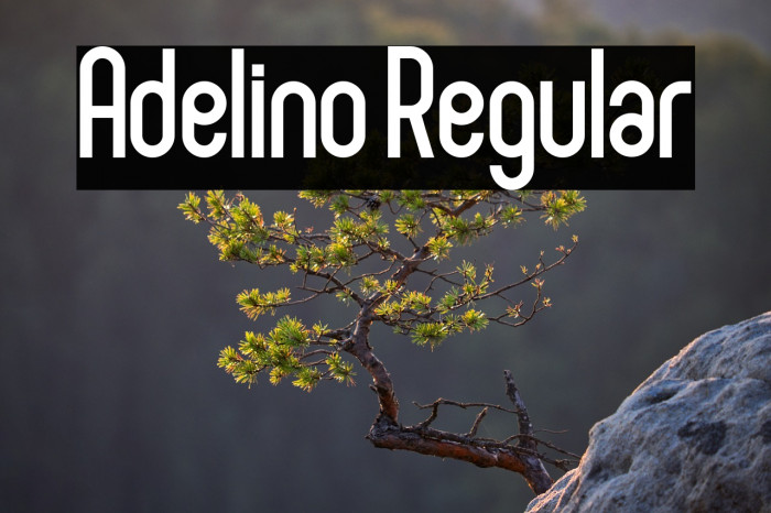 Adelino Regular Example 1