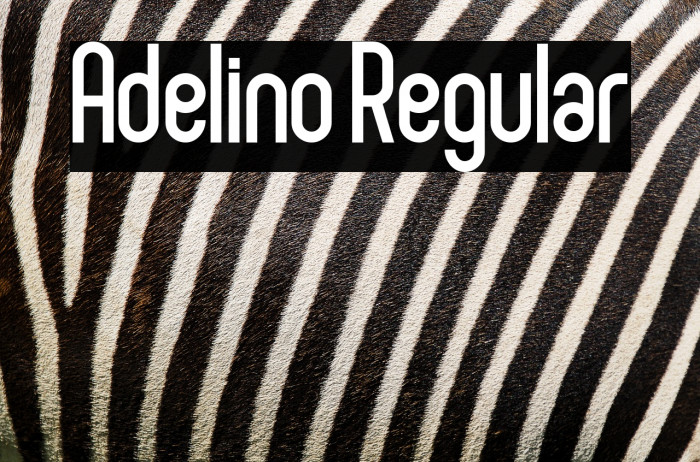 Adelino Regular Example 2