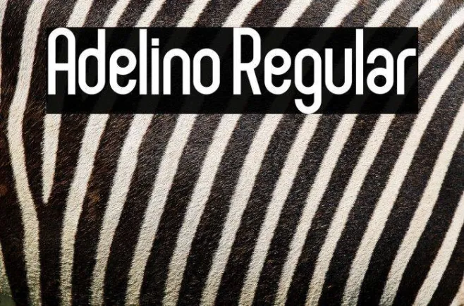 Adelino Regular Example 2