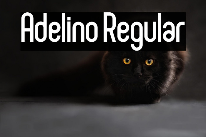 Adelino Regular Example 3