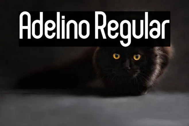 Adelino Regular Example 3