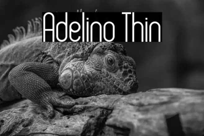 Adelino Thin Font examples