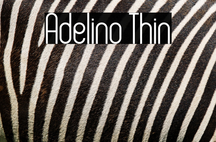 Adelino Thin Example 2