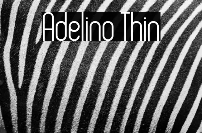 Adelino Thin Font examples