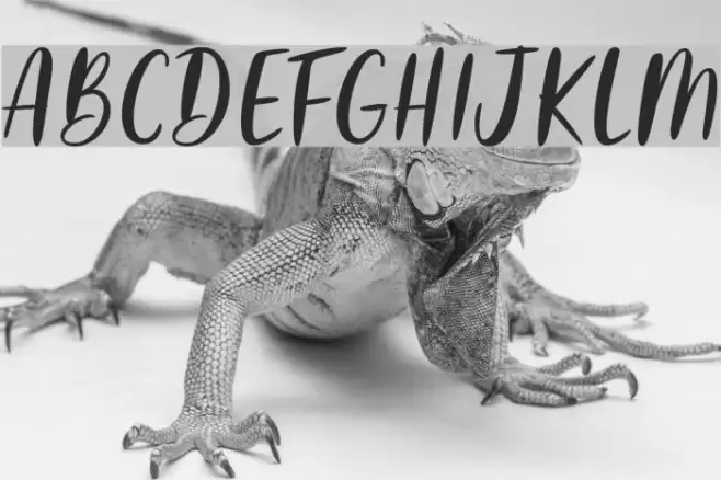 AdelioDarmanto Font examples