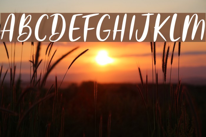AdelioDarmanto Font examples