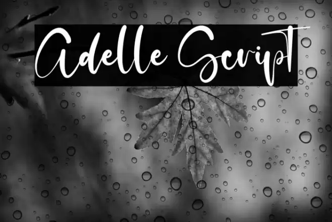 Adelle Script Font examples