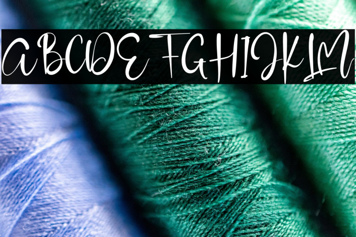 AdelleScript Example 2