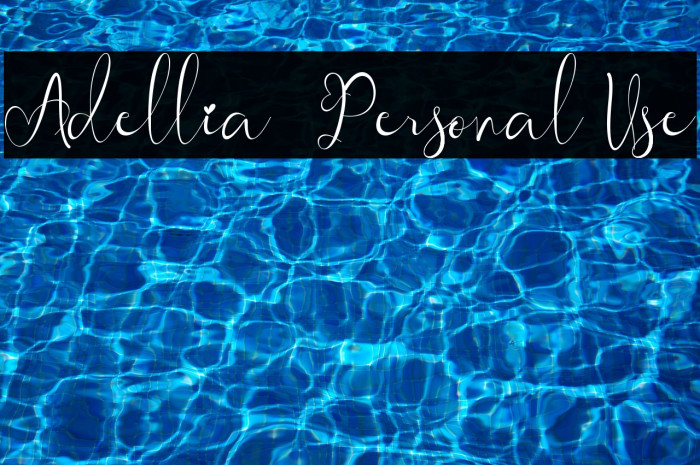 Adellia - Personal Use Example 1