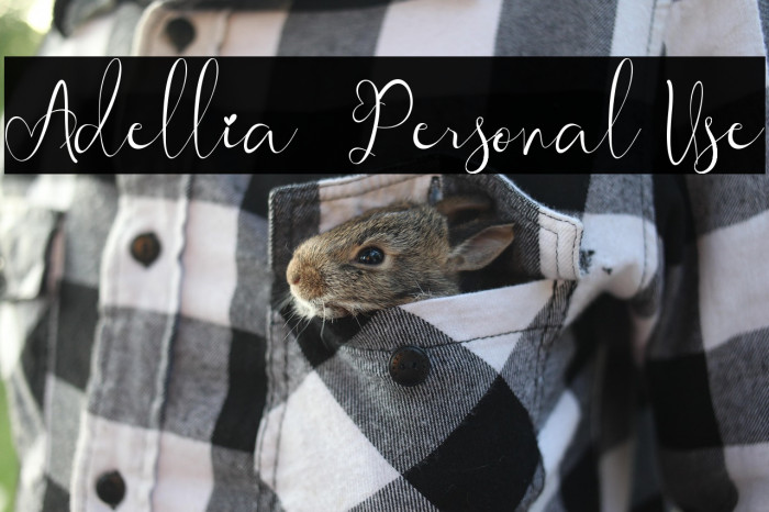 Adellia - Personal Use Example 2