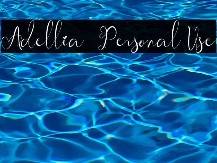 Adellia - Personal Use Example 3