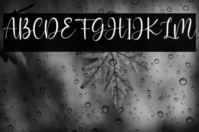 Adellicia Font examples