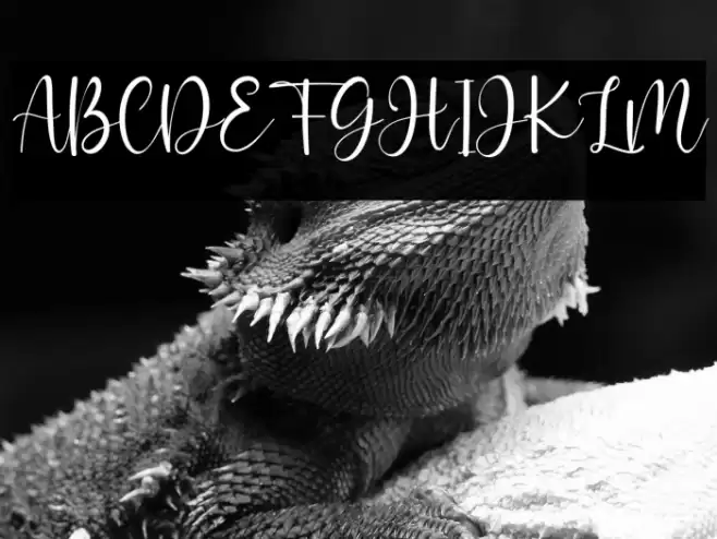 Adellicia Font examples