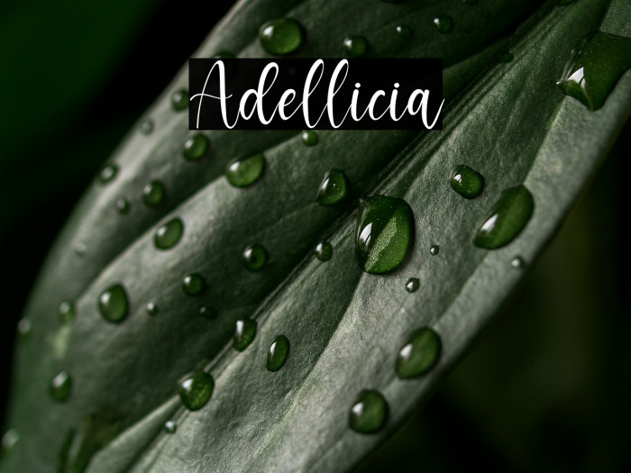 Adellicia Example 2
