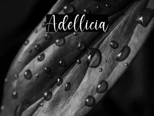 Adellicia Font examples